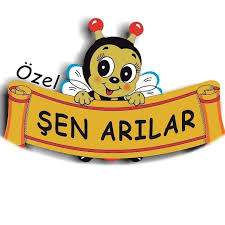 Şen Arılar Anaokulu